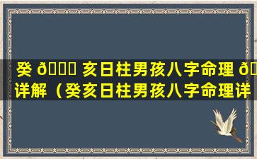 癸 💐 亥日柱男孩八字命理 🌷 详解（癸亥日柱男孩八字命理详解大全）